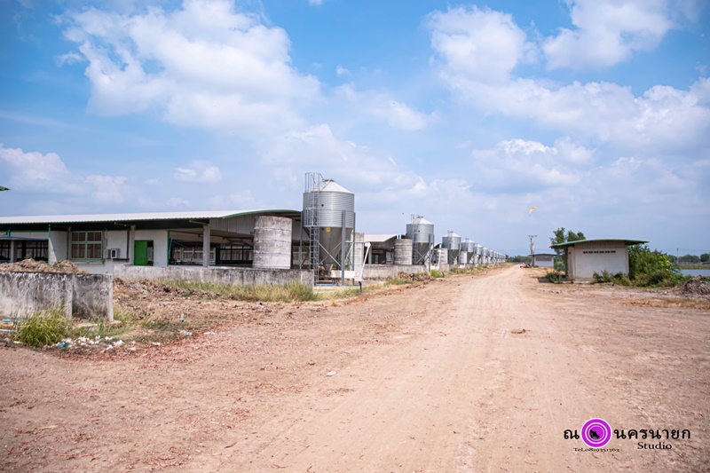 ฟาร์มหมูดอนยอ-1